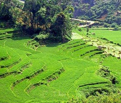 about sri lanka